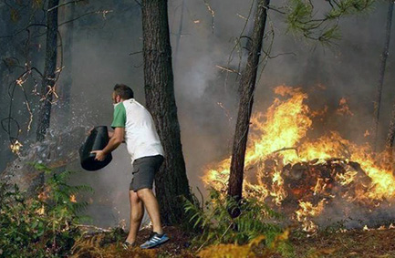 Fondo para reforestar